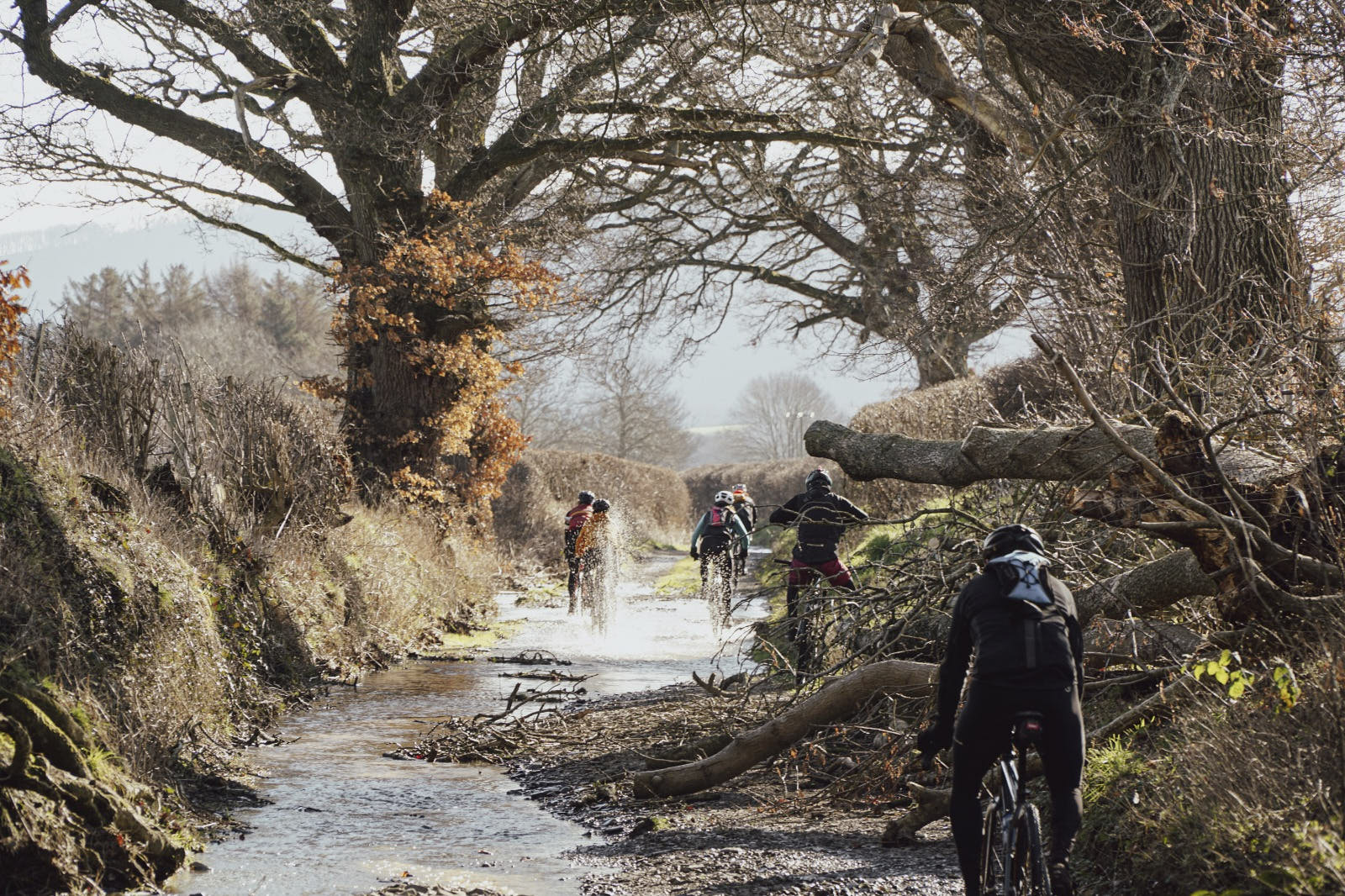 Gravel biking: the ultimate guide for beginners