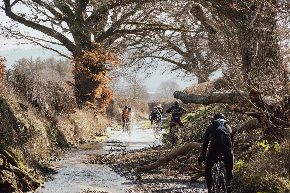 Gravel biking: the ultimate guide for beginners